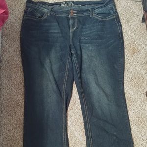 Dark wash plus size jeans